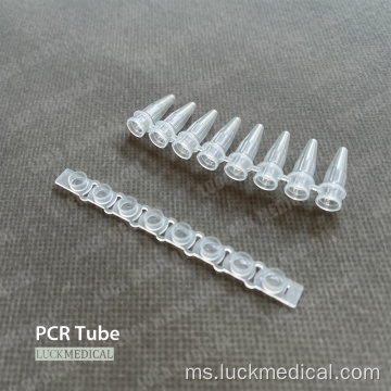 Jalur tiub PCR 8 0.2ml